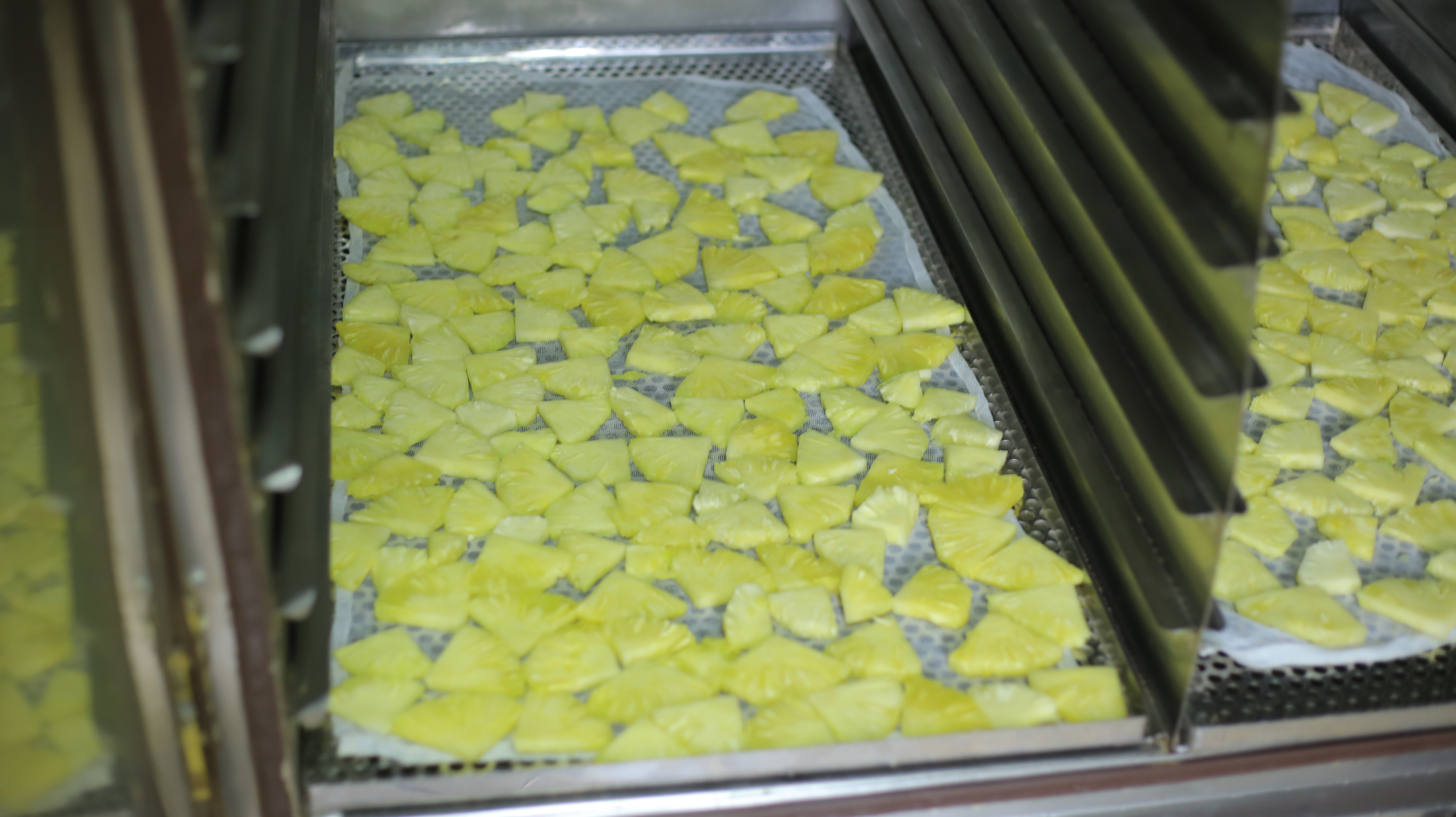 Fresh pineapple harvest at Sulma Centre